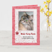 Van het Roos van het Kat Kleurde Foto van de Moede Kaart (Gele Bloem)