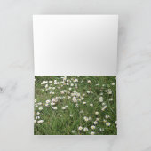 Van het venster! kaart (Binnen)