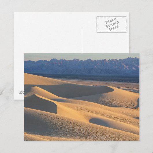 van het zandduinen "" van de " woestijnzon" "het briefkaart (Voorkant / Achterkant)