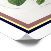 Van Houtte 1845 Botanische "Pansy" afdrukken Poster (Hoek)