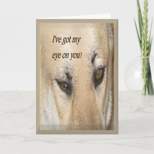 Van je geheime PayPal Kaart (Voorkant)