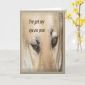 Van je geheime PayPal Kaart (Gele Bloem)