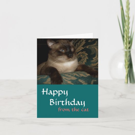 Van je kat - Siamese kat Birthday Kaart (Voorkant)