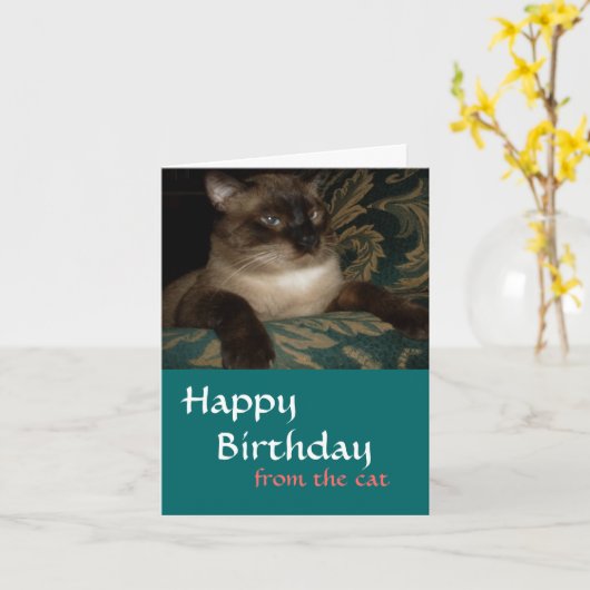 Van je kat - Siamese kat Birthday Kaart (Gele Bloem)