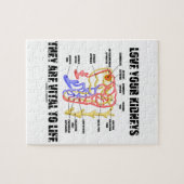 Van je nieren houden ze levensecht (nefron) legpuzzel (Horizontaal)