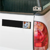 Van kat met blauwe ogen Huisdier Portret Bumpersticker (Op Truck)