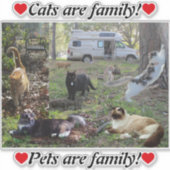 Van Life Cat Lady Het hele Fam Damily Sticker (Voorkant)