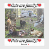 Van Life Cat Lady Het hele Fam Damily Sticker (Vel)