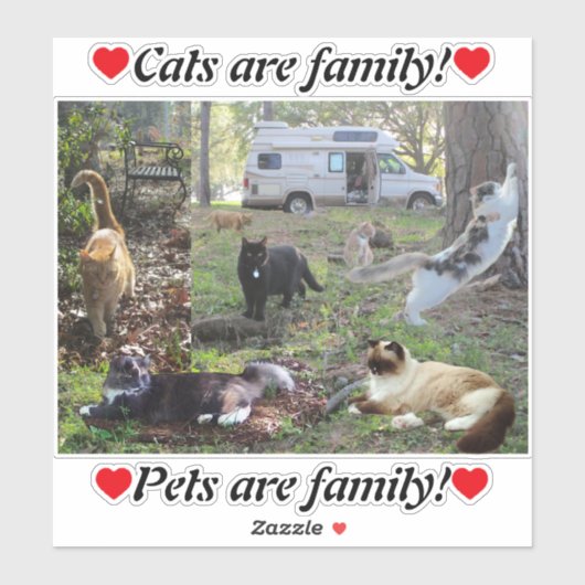 Van Life Cat Lady Het hele Fam Damily Sticker (Vel)