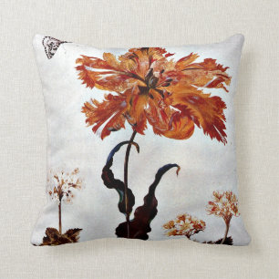 Van Metamorfose in sectoraal Surinamensium Kussen