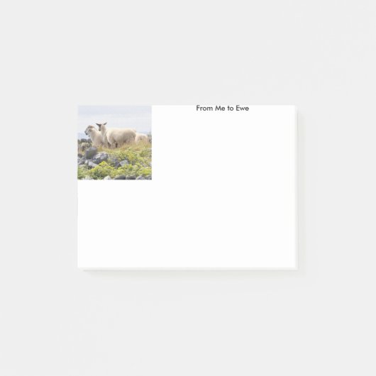 Van mij tot Ewe Post-it® Notes (Voorkant)