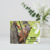 Van mijn nek van de Bossen tot uw Briefkaart (Staand voorkant)