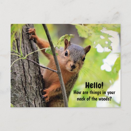 Van mijn nek van de Bossen tot uw Briefkaart (Voorkant)