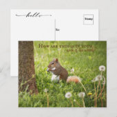 Van mijn nek van de Bossen tot uw Briefkaart (Voorkant / Achterkant)