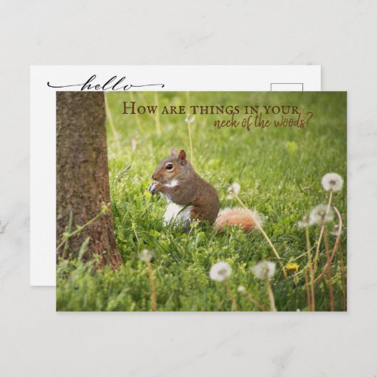 Van mijn nek van de Bossen tot uw Briefkaart (Voorkant / Achterkant)