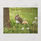 Van mijn nek van de Bossen tot uw Briefkaart (Voorkant)