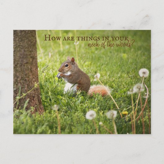 Van mijn nek van de Bossen tot uw Briefkaart (Voorkant)