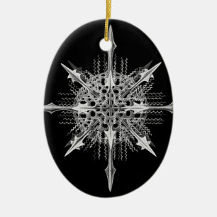 Van mirandaErnst Haeckel van Lychnaspis het Fijne Keramisch Ornament