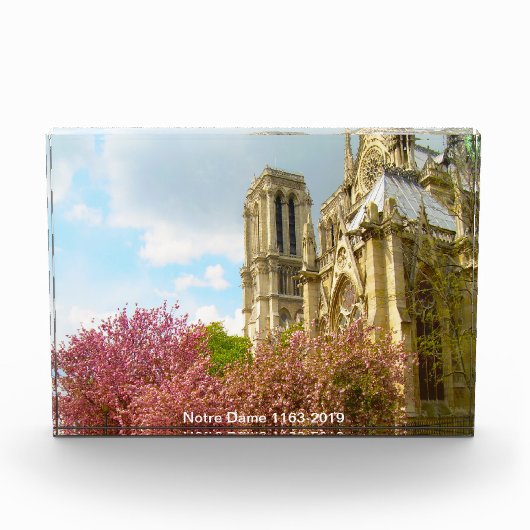 van Notre Dame (nr. 1163-2019); Fotoblokken (Voorkant)