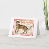 Van onze kat tot uw kat-kerstWenskaart Kaart (Voorkant)