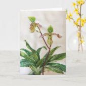 Van orchideeën (5" x 7") de witte enveloppen kaart (Gele Bloem)