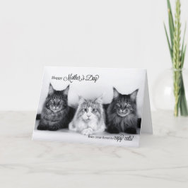 van Pet Funny Moederdag Three Tabby Cats Bedankkaart