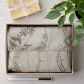 Van Philadelphia naar Annapolis Md 56 Tissuepapier (Geschenk)