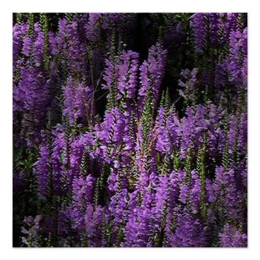 Van 's avonds tot 's ochtends... poster (Voorkant)