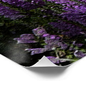 Van 's avonds tot 's ochtends... poster (Hoek)