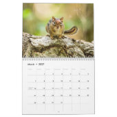 Van Shenandoah naar Massanutten Kalender (Mar 2027)