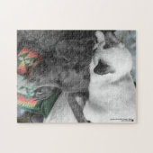 Van Siamese Kitten Watches houdt Labrador Sleep Legpuzzel (Horizontaal)