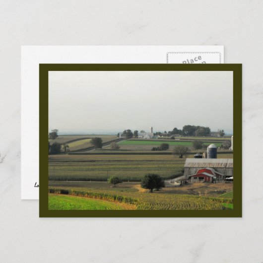 Van sprinkhaanniveau briefkaart (Voorkant / Achterkant)