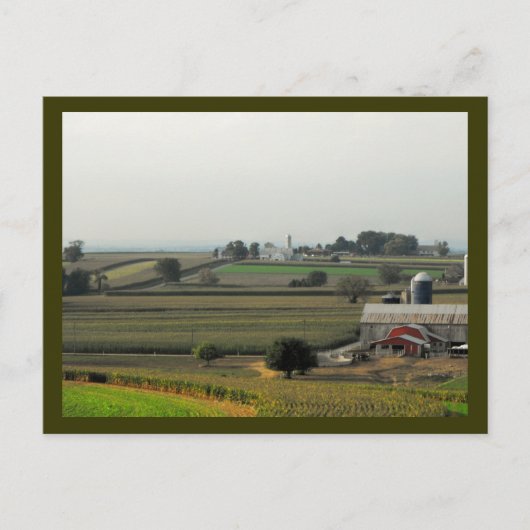 Van sprinkhaanniveau briefkaart (Voorkant)