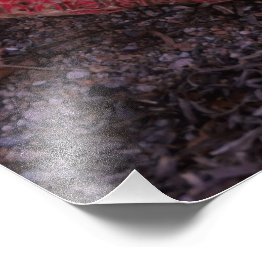 Van thuis weg foto afdruk (Hoek)