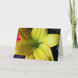 Van tijd tot eeuwigheid kaart