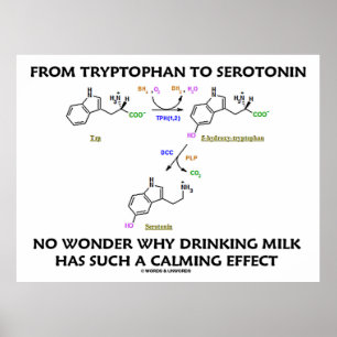 Van tryptofaan tot serotonine (chemie-Humor) Poster