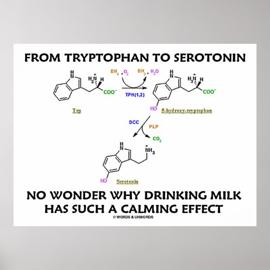 Van tryptofaan tot serotonine (chemie-Humor) Poster (Voorkant)