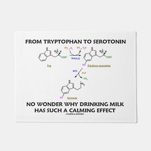 Van tryptofaan tot serotonine-melkkalkkingeffect deurmat (Voorkant)