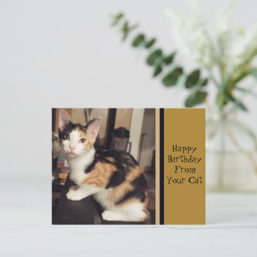 Van uw Briefkaart van de Kat van de Vergroting van (Staand voorkant)