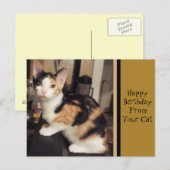 Van uw Briefkaart van de Kat van de Vergroting van (Voorkant / Achterkant)