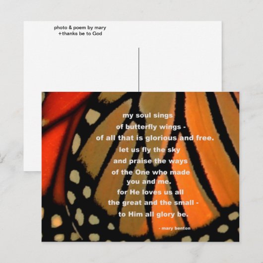 van vlindervleugels briefkaart (Voorkant / Achterkant)