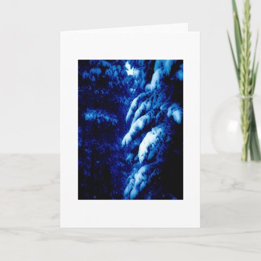 Van wie zijn deze Bossen? Ik denk dat ik het weet. Feestdagen Kaart (Voorkant)