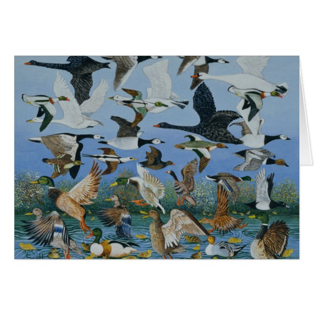 Vanaf 1996 (Voorkant Horizontaal)