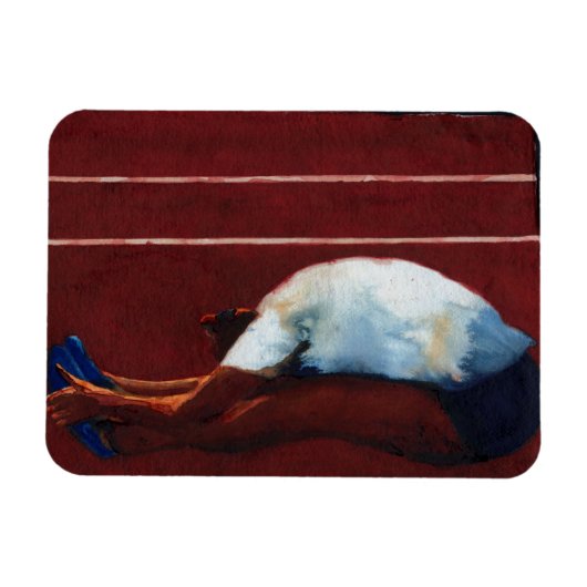 Vanaf 2011 magneet (Horizontaal)