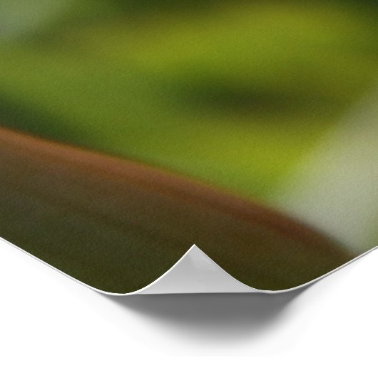 Vanaf het hart poster (Hoek)