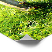 VANAF MINDER DAN $ 20 - vogelverschrikker Poster (Hoek)