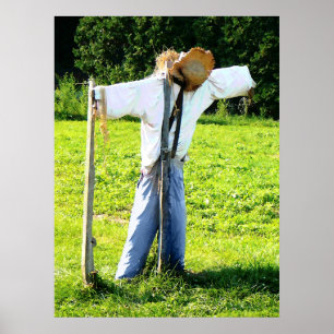 VANAF MINDER DAN $ 20 - vogelverschrikker Poster