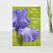 Vanaf Paarse Iris Bloemen Moederdag Kaart (Voorkant)