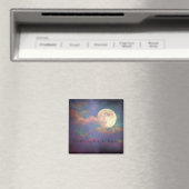 Vanavond Magneet (Insitu (Vaatwasser))