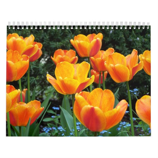 Vancouver BC Wall Agenda Kalender (Hoes)
